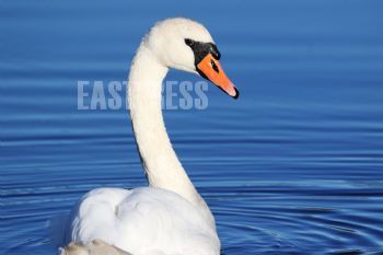 EA343394, Eastpress, Porvoo, Finland